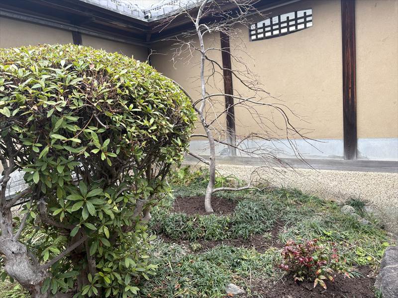 玄関横にあるお庭