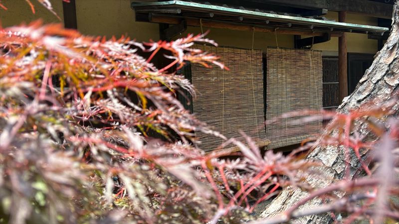 枚方で庭付き和室空間をお探しなら「レンタルスペース枚方元町」へ